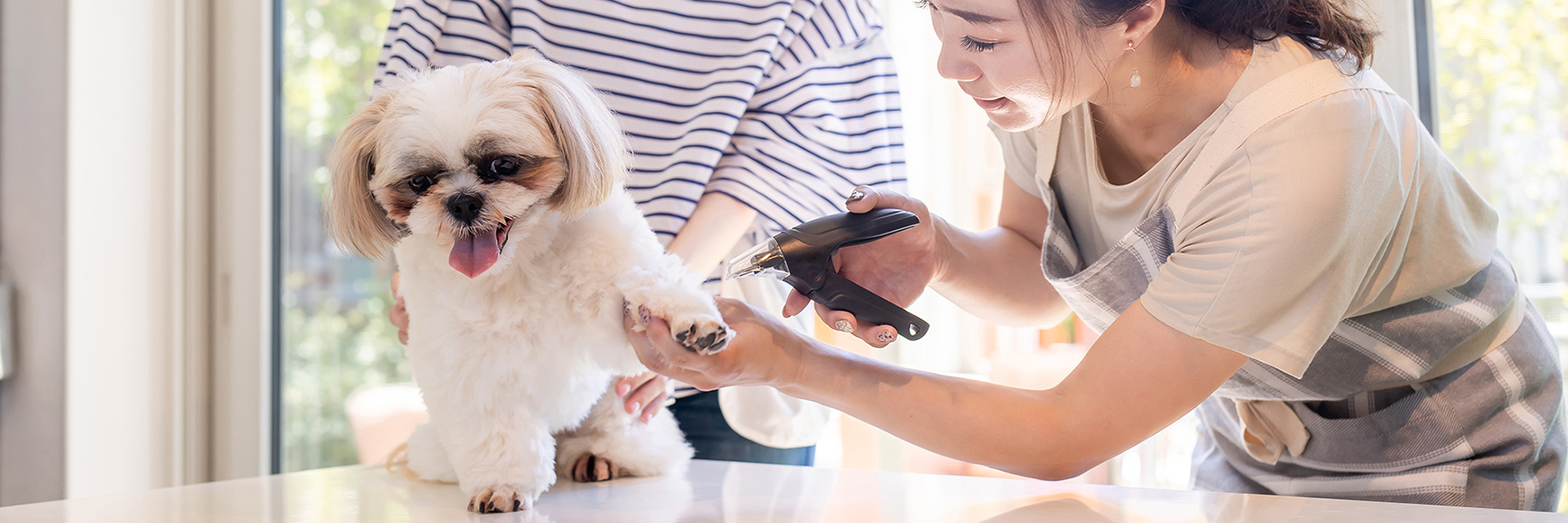 北海道北見市のペットの総合サロンComfort & Care for Your Petくつろぎながら整える、やさしいペットケア。