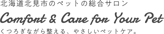 北海道北見市のペットの総合サロンComfort & Care for Your Petくつろぎながら整える、やさしいペットケア。